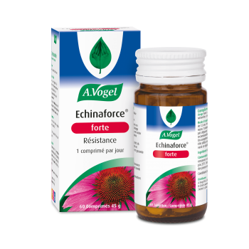 ECHINAFORCE FORTE 60 КАПСУЛЫ Иммунитет