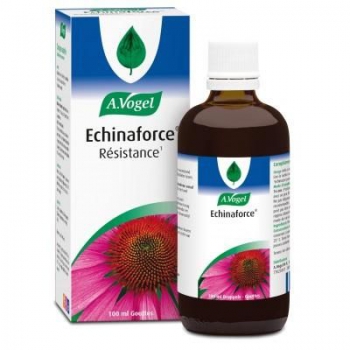 ECHINAFORCE 100 ML Иммунитет