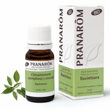 PRANAROM Равинтсара Ravintsara Cinnamomum camphora BIO БИО 10ML ЭФИРНОЕ МАСЛО